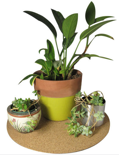 mats for plant pots 17 inch Cork Plant Mat – Corkology
