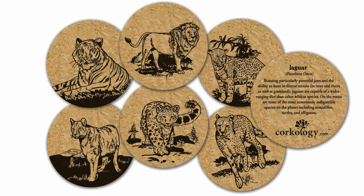 Cats Cork Coaster Set
