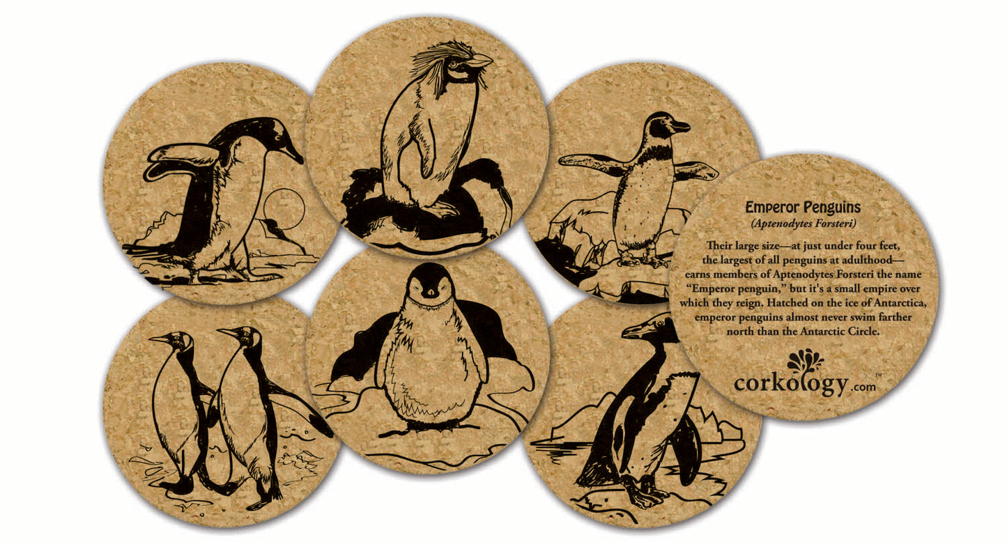 Penguins Cork Coaster Set