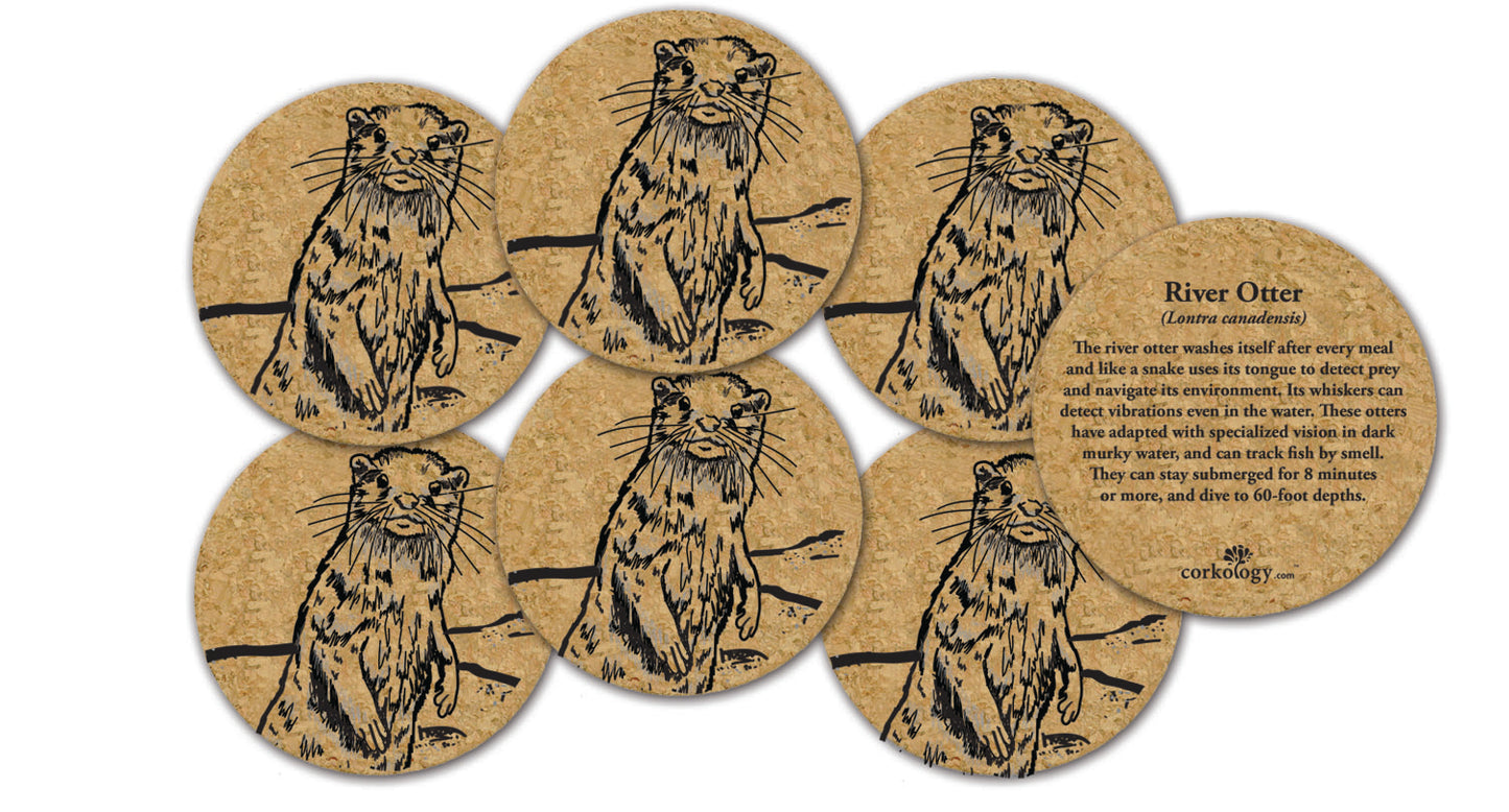 River Otter Cork Coaster Set