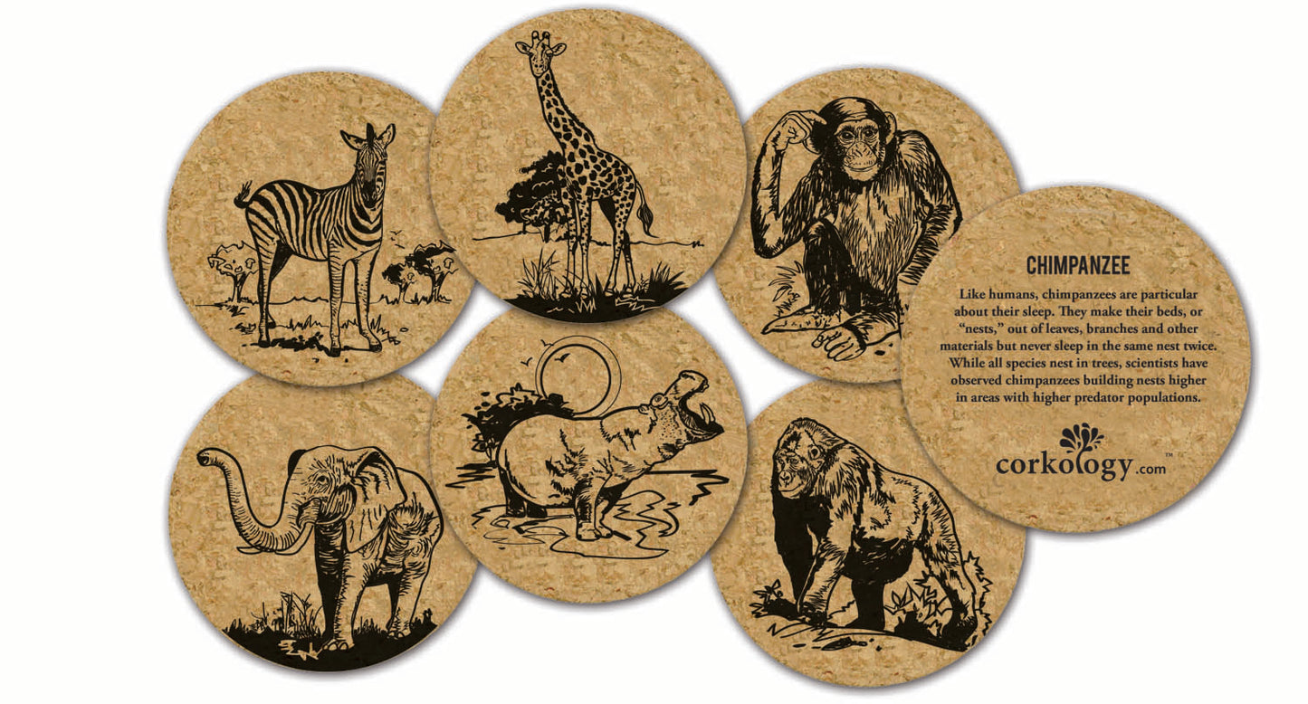 Safari Cork Coaster Set