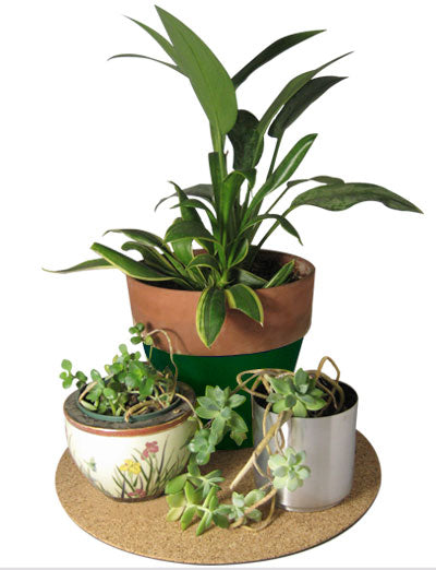 18 inch Cork Plant Mat