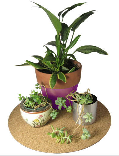19 inch Cork Plant Mat