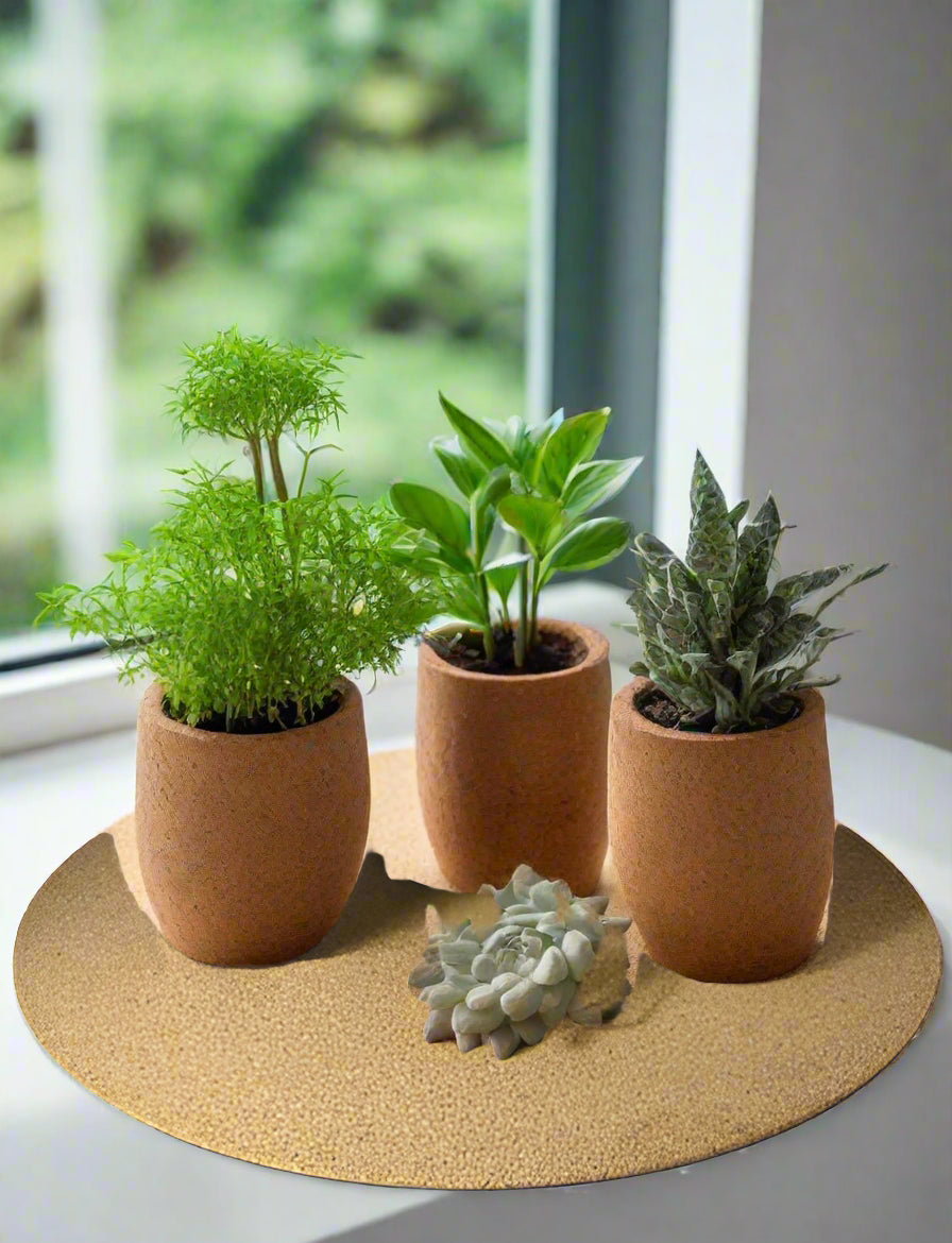 24 inch Cork Plant Mat