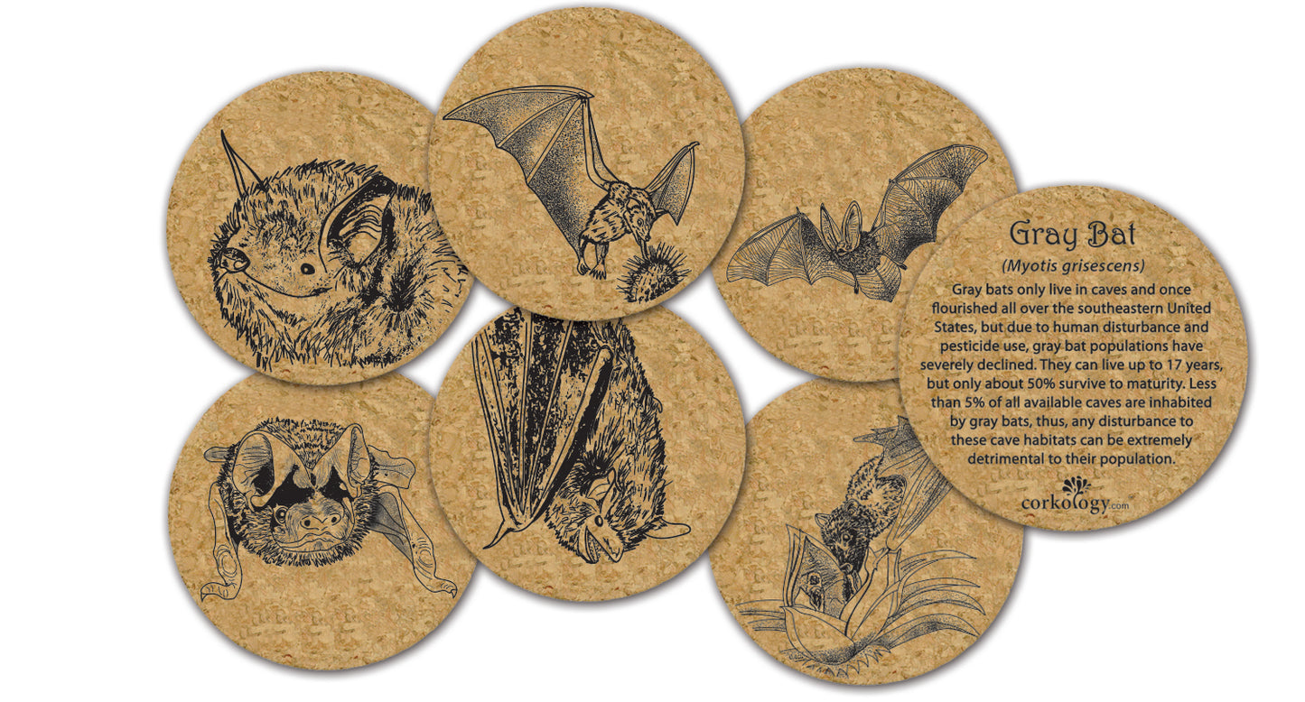 Endangered Bats Cork Coaster Set