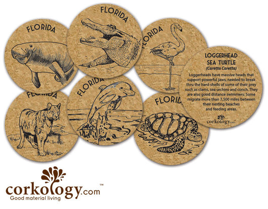 Florida Cork Coaster Set