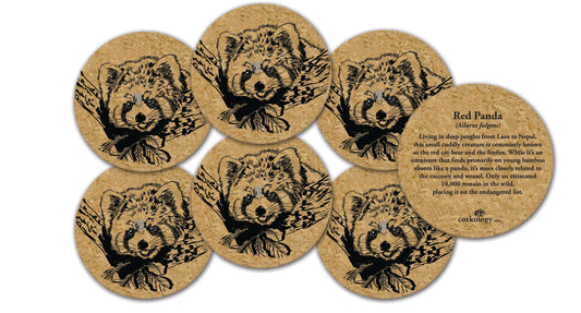 Red Panda Cork Coaster Set