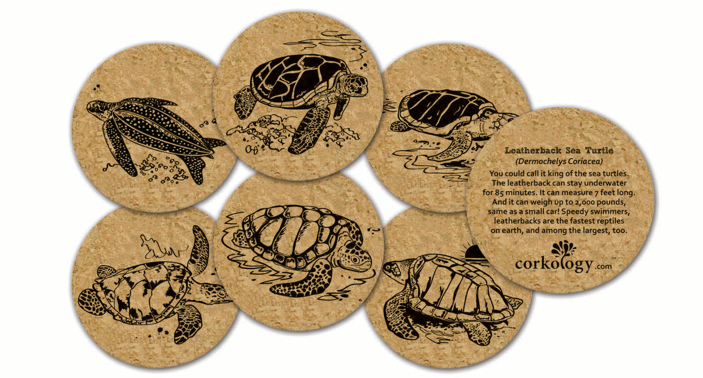 Sea Turtles Cork Coaster Set