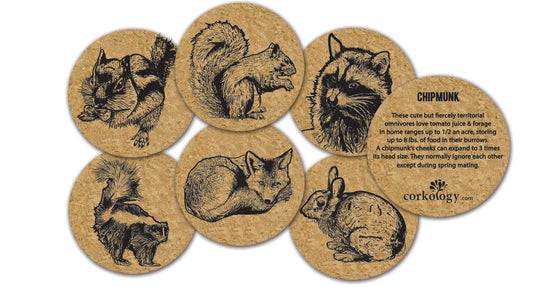 Urban Critters Cork Coaster Set