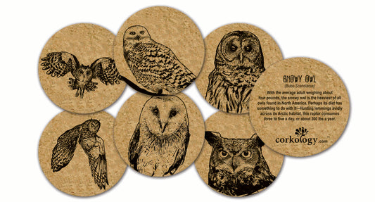 Owls Cork Coaster Set