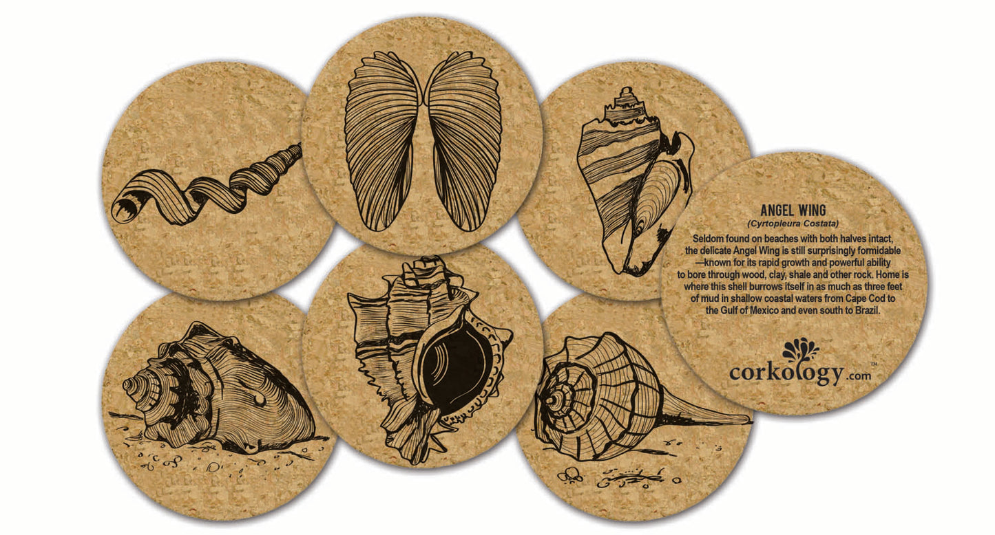 Seashells Cork Coaster Set